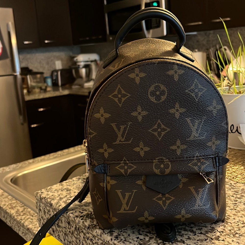 Louis Vuitton Palm Springs Mini 💙